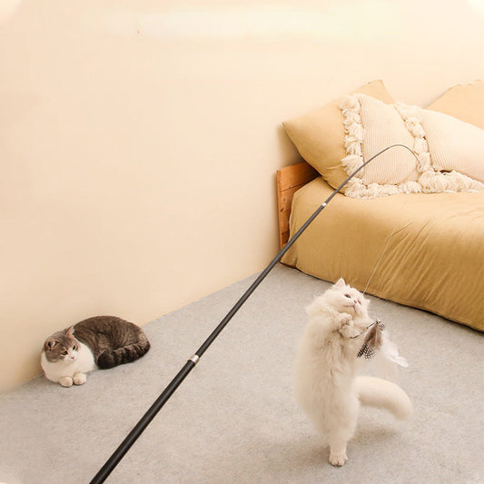 Building a Better Life for Pets: The Heart Behind Happy To Pets